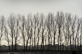 dreamstime_xxl_43329047